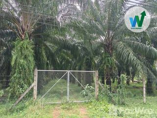 Продажа Участок в Khuan Khanun, Пхаттхалунг