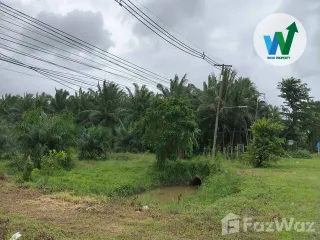 Продажа Участок в Khuan Khanun, Пхаттхалунг