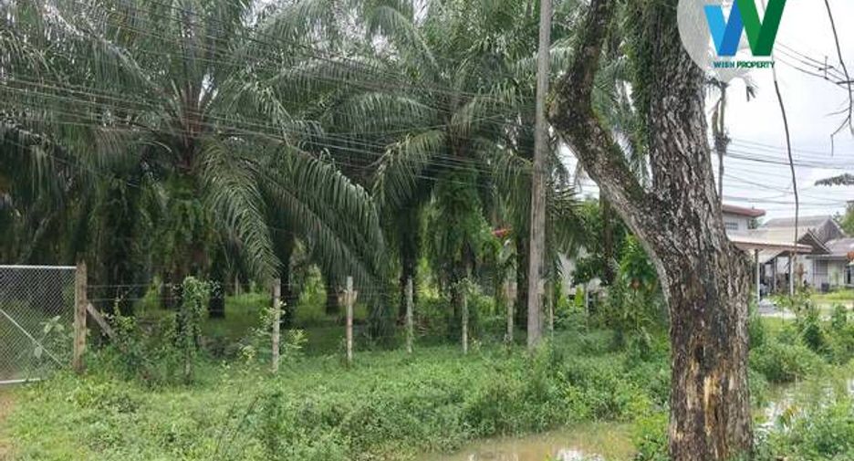 For sale land in Khuan Khanun, Phatthalung