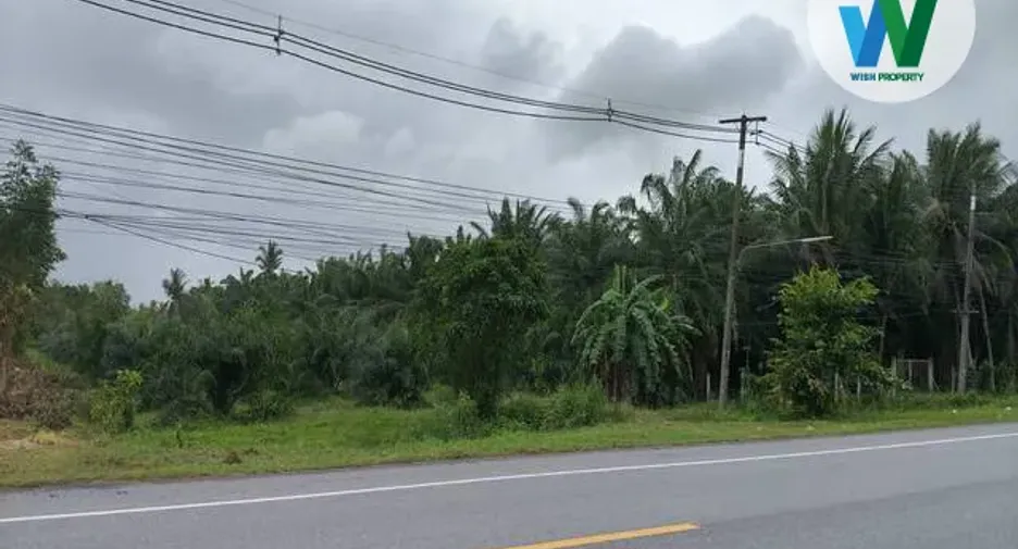For sale land in Khuan Khanun, Phatthalung