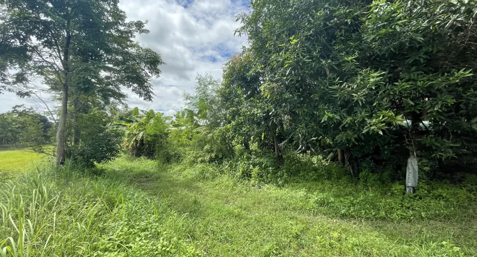 Terreno en venta en Mueang Kalasin, Kalasin