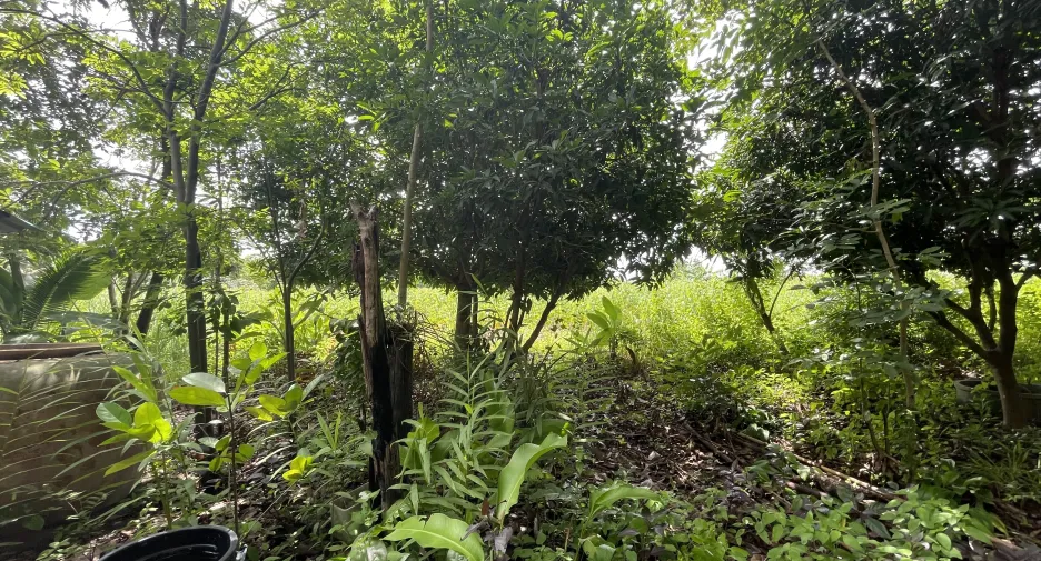 Terreno en venta en Mueang Kalasin, Kalasin