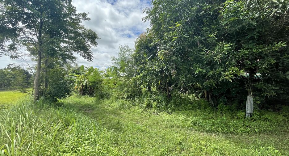 For sale land in Mueang Kalasin, Kalasin