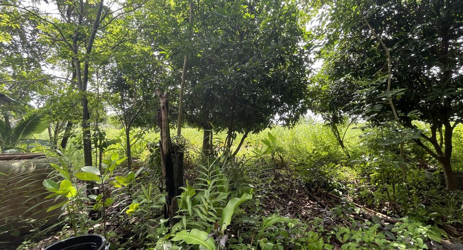 For sale land in Mueang Kalasin, Kalasin
