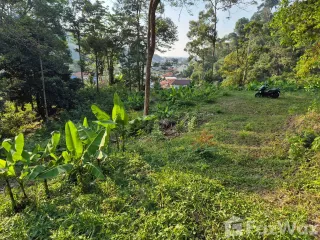 出售 土地 在 Kathu, 普吉