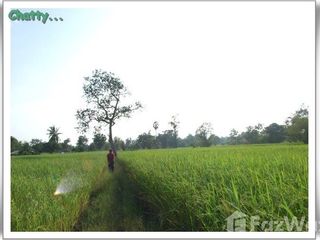 ขาย ที่ดิน ใน ม่วงสามสิบ, อุบลราชธานี
