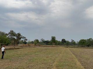 ขาย ที่ดิน ใน ม่วงสามสิบ, อุบลราชธานี