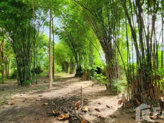 For sale land in Mueang Phitsanulok, Phitsanulok