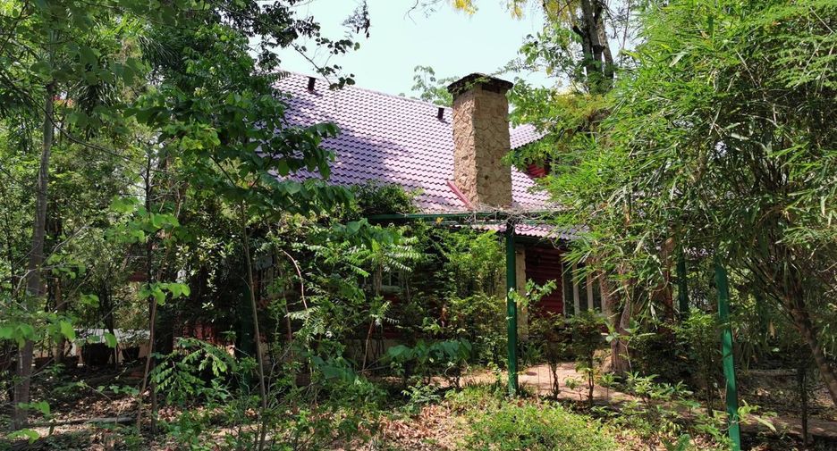 For sale land in Mueang Phitsanulok, Phitsanulok