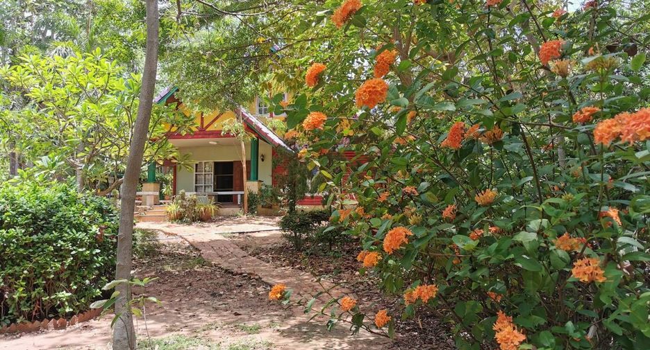 For sale land in Mueang Phitsanulok, Phitsanulok