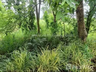 Terreno en venta en Phanat Nikhom, Chonburi