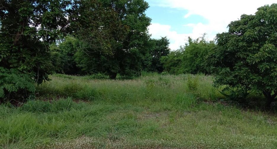 Terreno en venta en Li, Lamphun