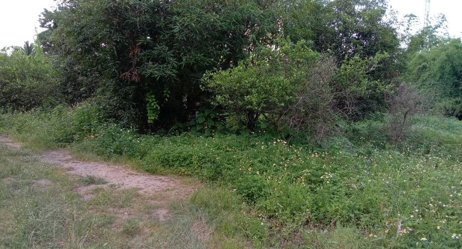 Terreno en venta en Li, Lamphun