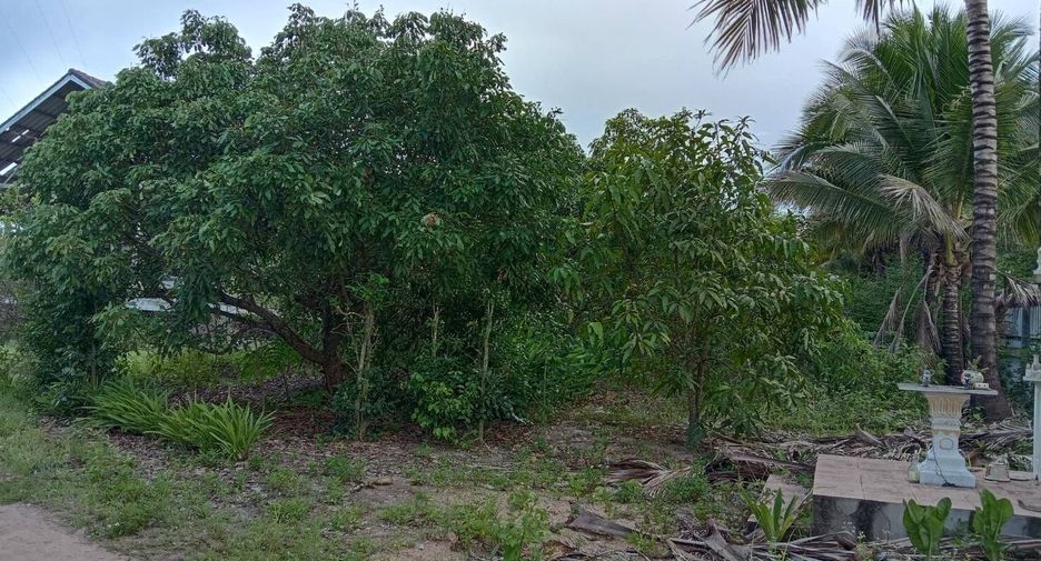 Terreno en venta en Li, Lamphun