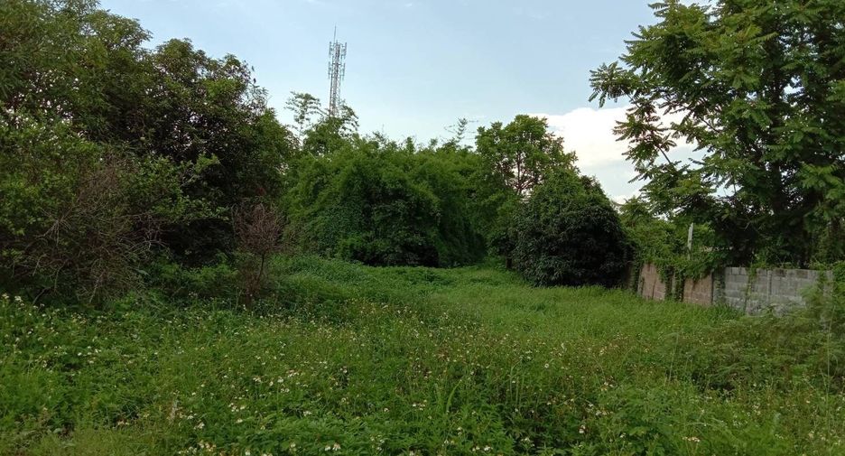 Terreno en venta en Li, Lamphun