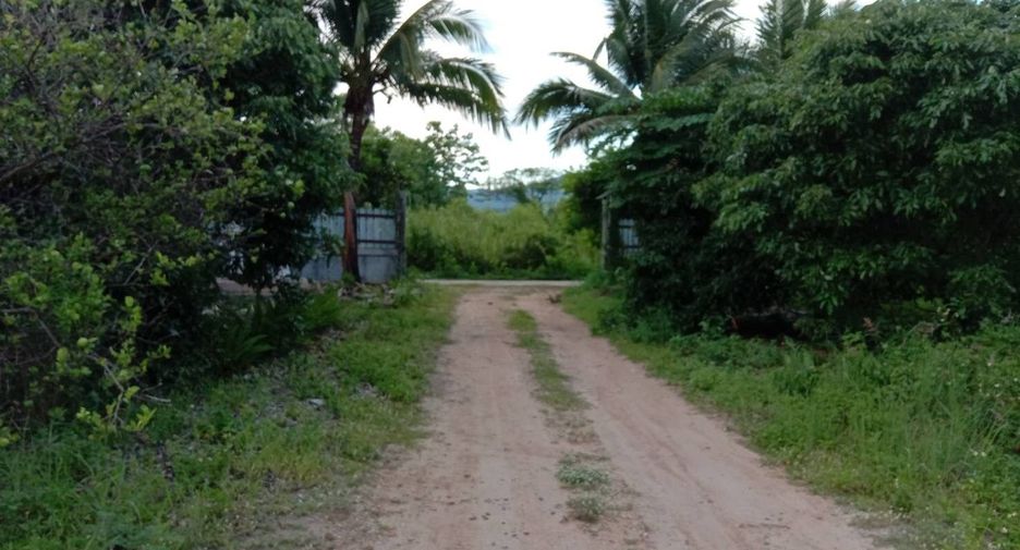 Terreno en venta en Li, Lamphun