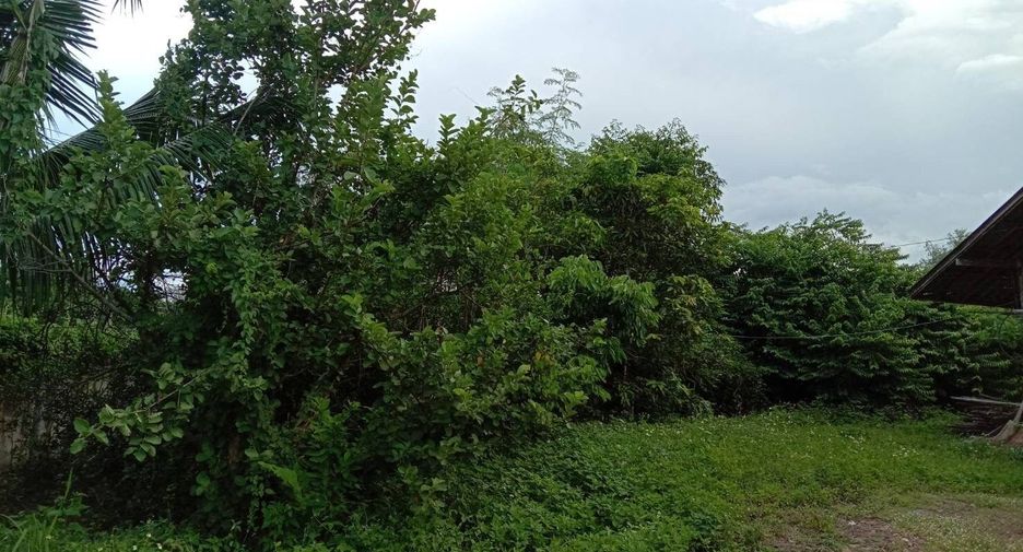 Terreno en venta en Li, Lamphun