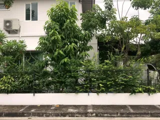 ให้เช่า 3 ห้องนอน บ้านเดี่ยว ใน บางใหญ่, นนทบุรี