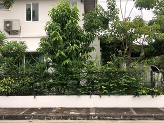 À louer 3 chambres maison à Bang Yai, Nonthaburi