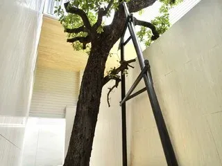 For sale 4 bedrooms house in Lat Phrao, Bangkok