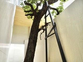 Haus zum Kauf mit 4 Zimmer in Lat Phrao, Bangkok