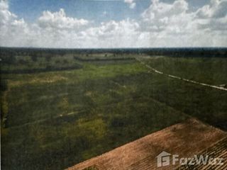 For sale land in Khok Sung, Sa Kaeo