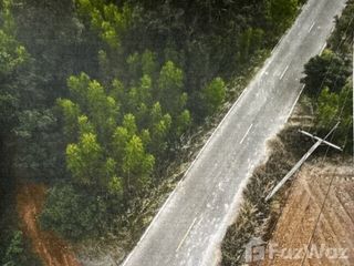 For sale land in Khok Sung, Sa Kaeo