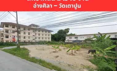 ขาย ที่ดิน ใน เมืองชลบุรี, ชลบุรี
