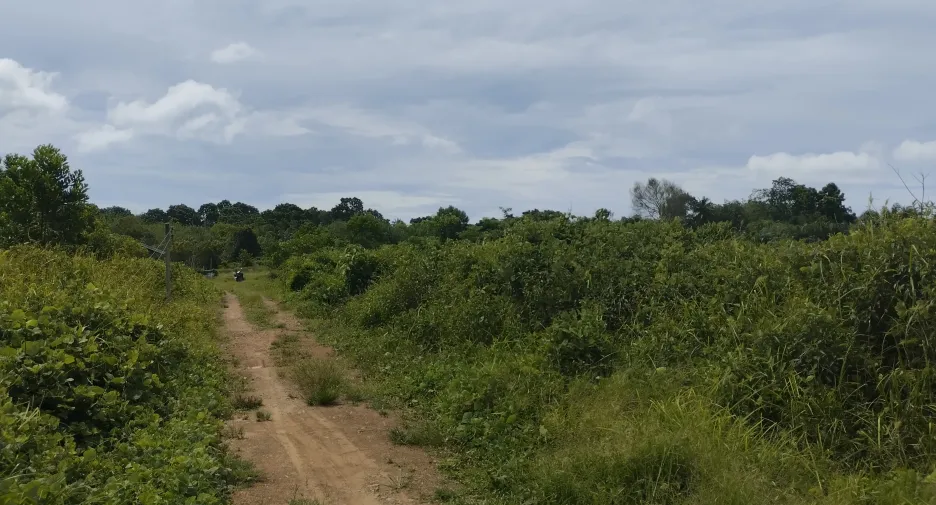 For sale land in Mueang Trang, Trang