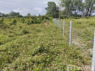 Grundstück zum Kauf in Mueang Trang, Trang