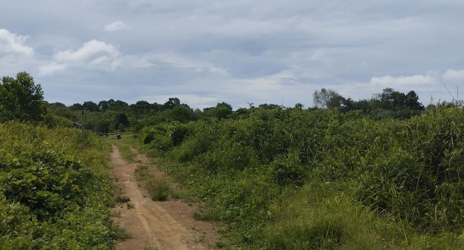 出售 土地 在 Mueang Trang, Trang