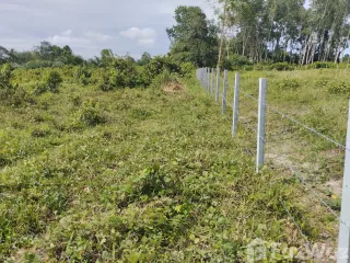出售 土地 在 Mueang Trang, Trang