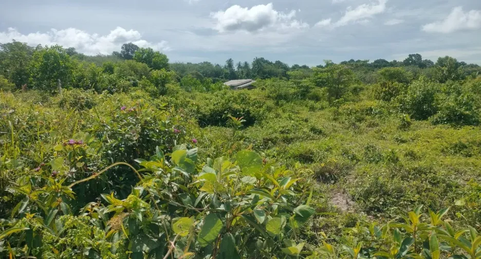 For sale land in Mueang Trang, Trang