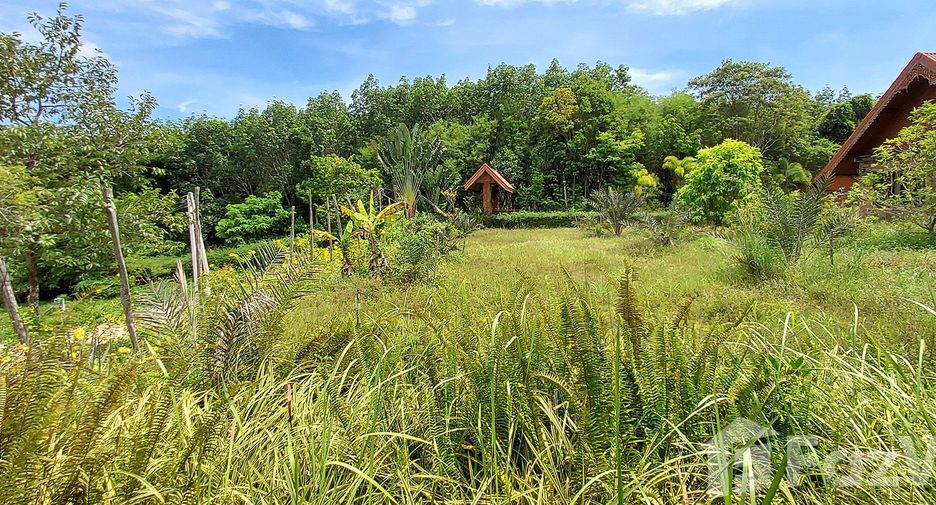 For sale land in Klaeng, Rayong
