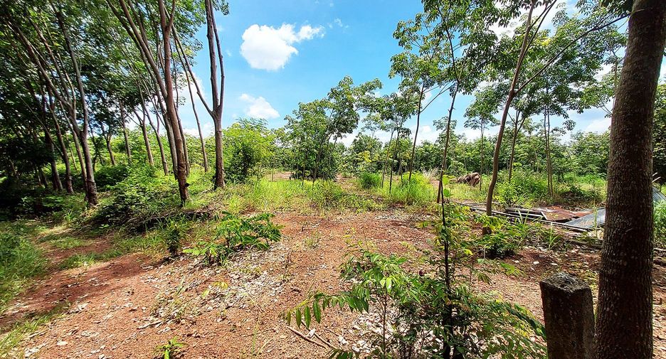 For sale land in Klaeng, Rayong