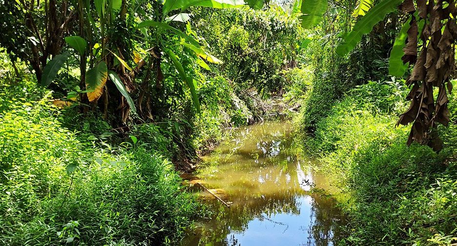 For sale land in Klaeng, Rayong