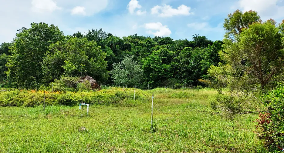 For sale land in Klaeng, Rayong