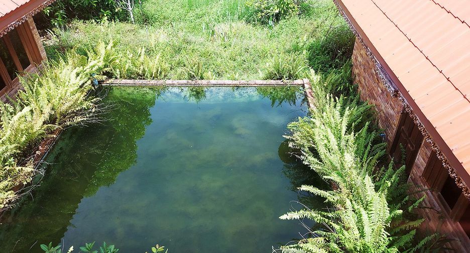 For sale land in Klaeng, Rayong