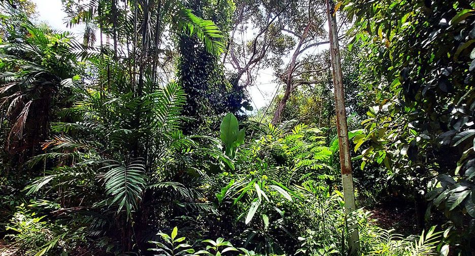 For sale land in Klaeng, Rayong