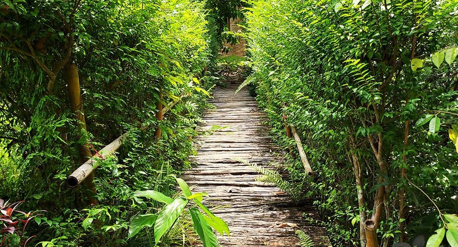 For sale land in Klaeng, Rayong
