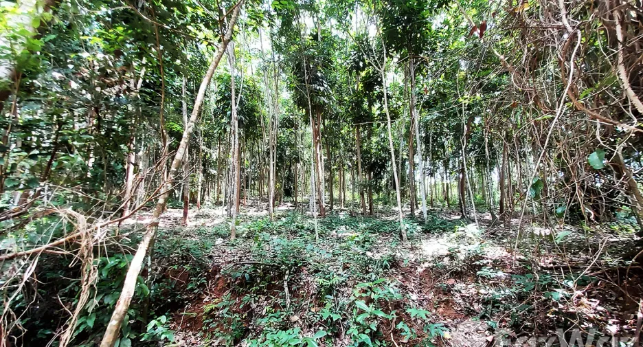 For sale land in Klaeng, Rayong