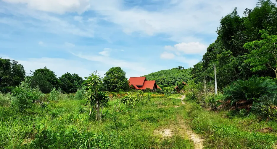 For sale land in Klaeng, Rayong