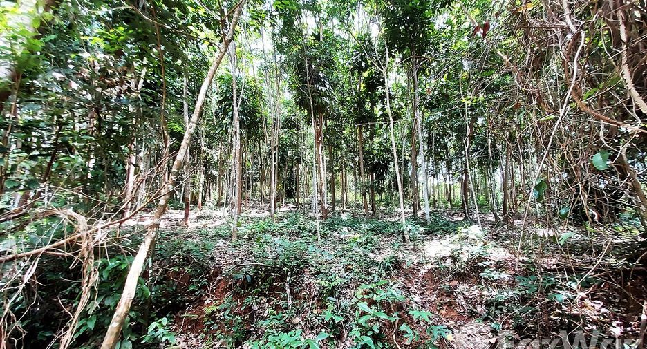 For sale land in Klaeng, Rayong