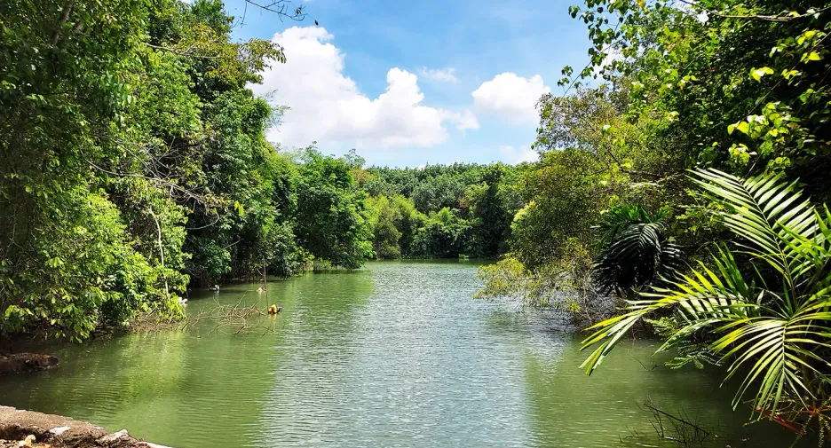 For sale land in Klaeng, Rayong