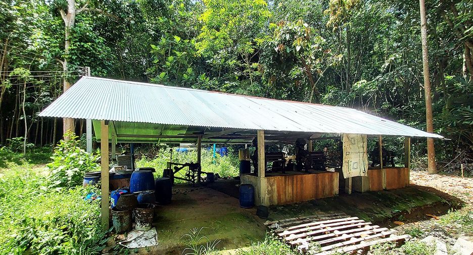 For sale land in Klaeng, Rayong