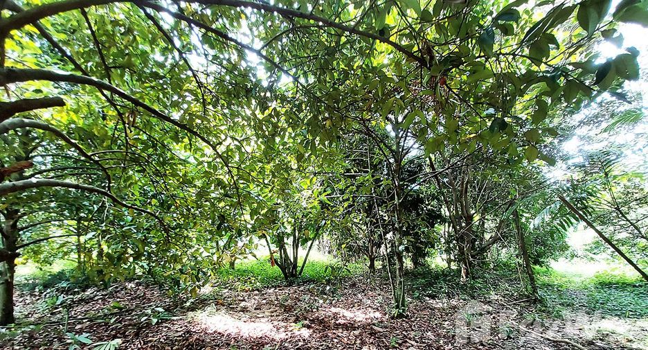 For sale land in Klaeng, Rayong
