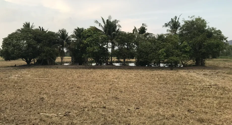 ขาย ที่ดิน ใน ด่านมะขามเตี้ย, กาญจนบุรี