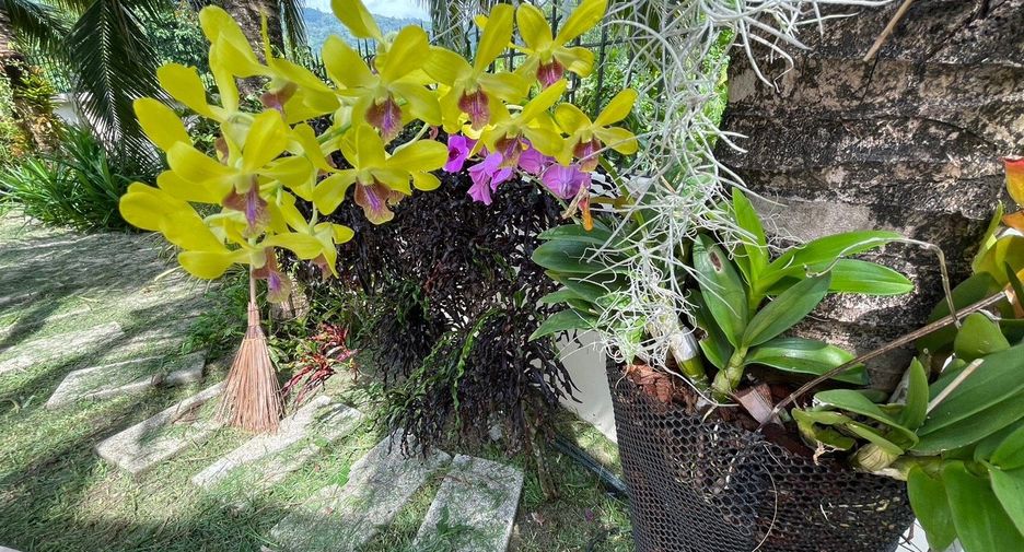 For rent 3 ベッドルーム villa in Mueang Phuket, Phuket