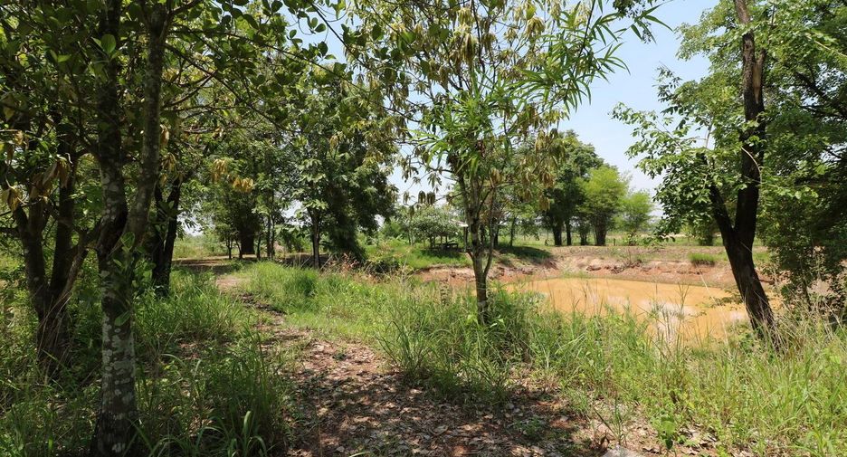 For sale land in Nong Han, Udon Thani