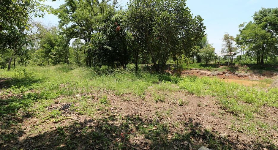 For sale land in Nong Han, Udon Thani